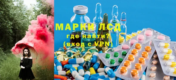 a pvp Алзамай