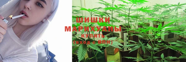 сатива Алексеевка