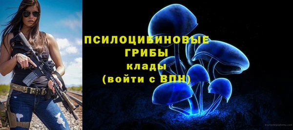 сатива Алексеевка