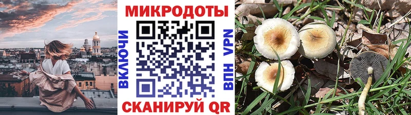 Псилоцибиновые грибы Psilocybine cubensis  ссылка на мегу сайт  Омутнинск 